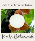 Cacao 95% Theobromine Extract Powder 35g